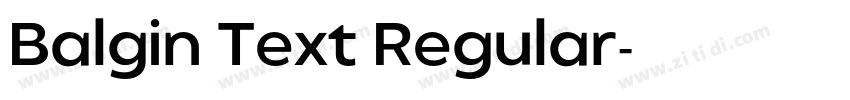 Balgin Text Regular字体转换 Balgin Text Regular字体转换